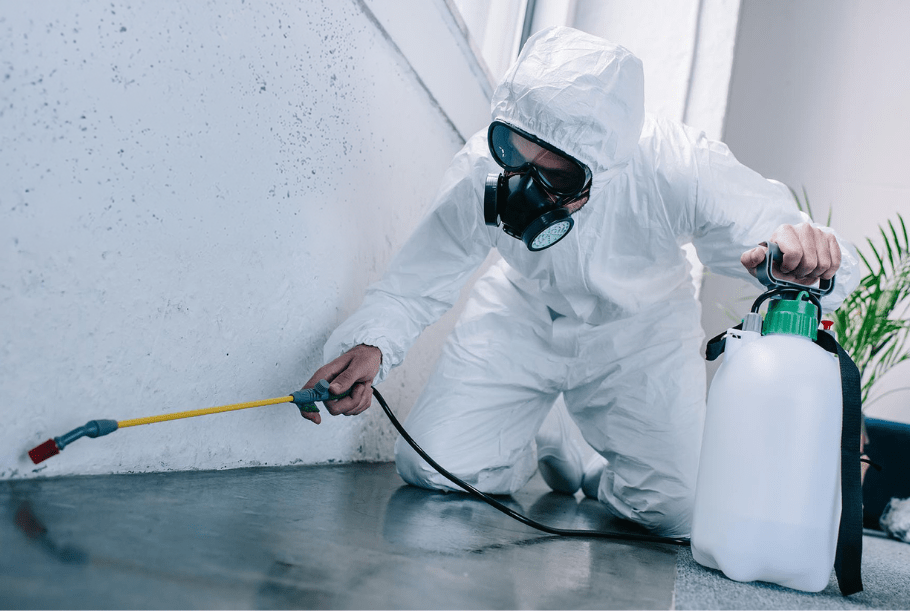 Pest control