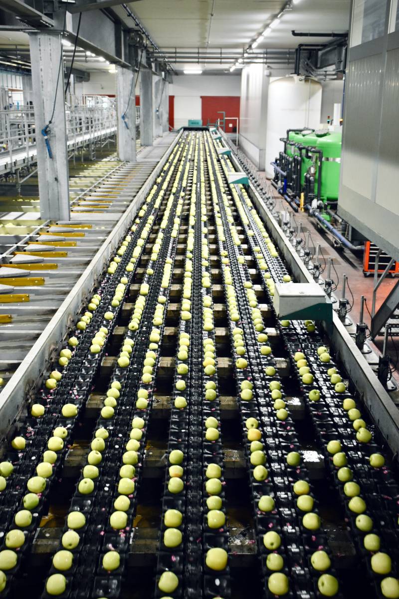  Continuit&agrave; operativa e rischio audit nel settore food  1
