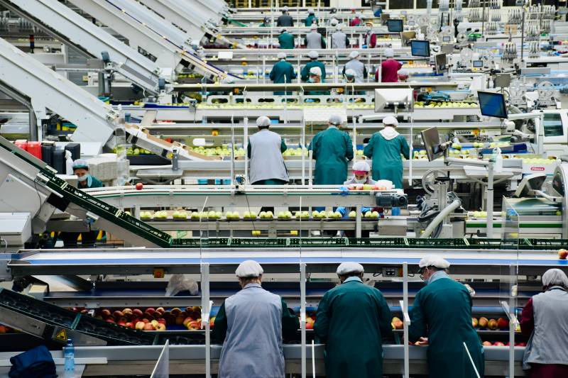  Continuit&agrave; operativa e rischio audit nel settore food  0