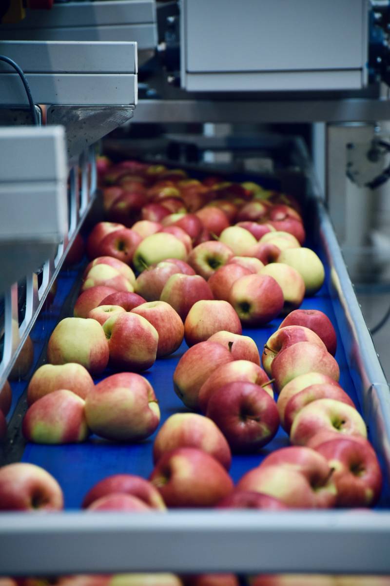  Continuit&agrave; operativa e rischio audit nel settore food  2