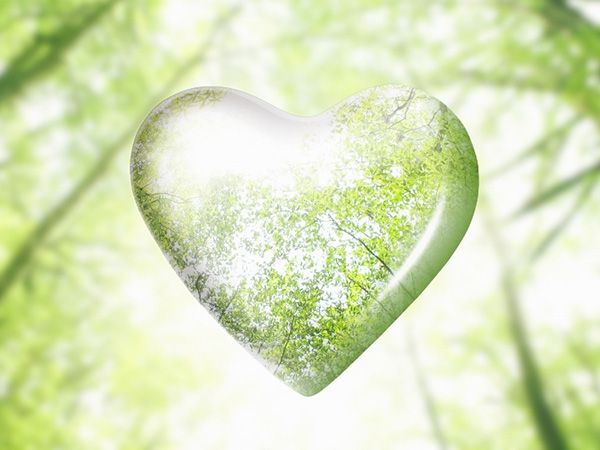 Cuore con foresta, simbolo di sostenibilit&agrave;